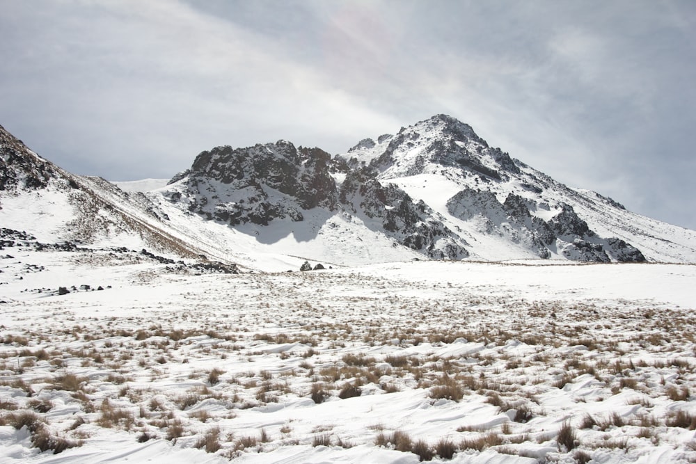 a snow covered mountain with grass and bushes in the foreground