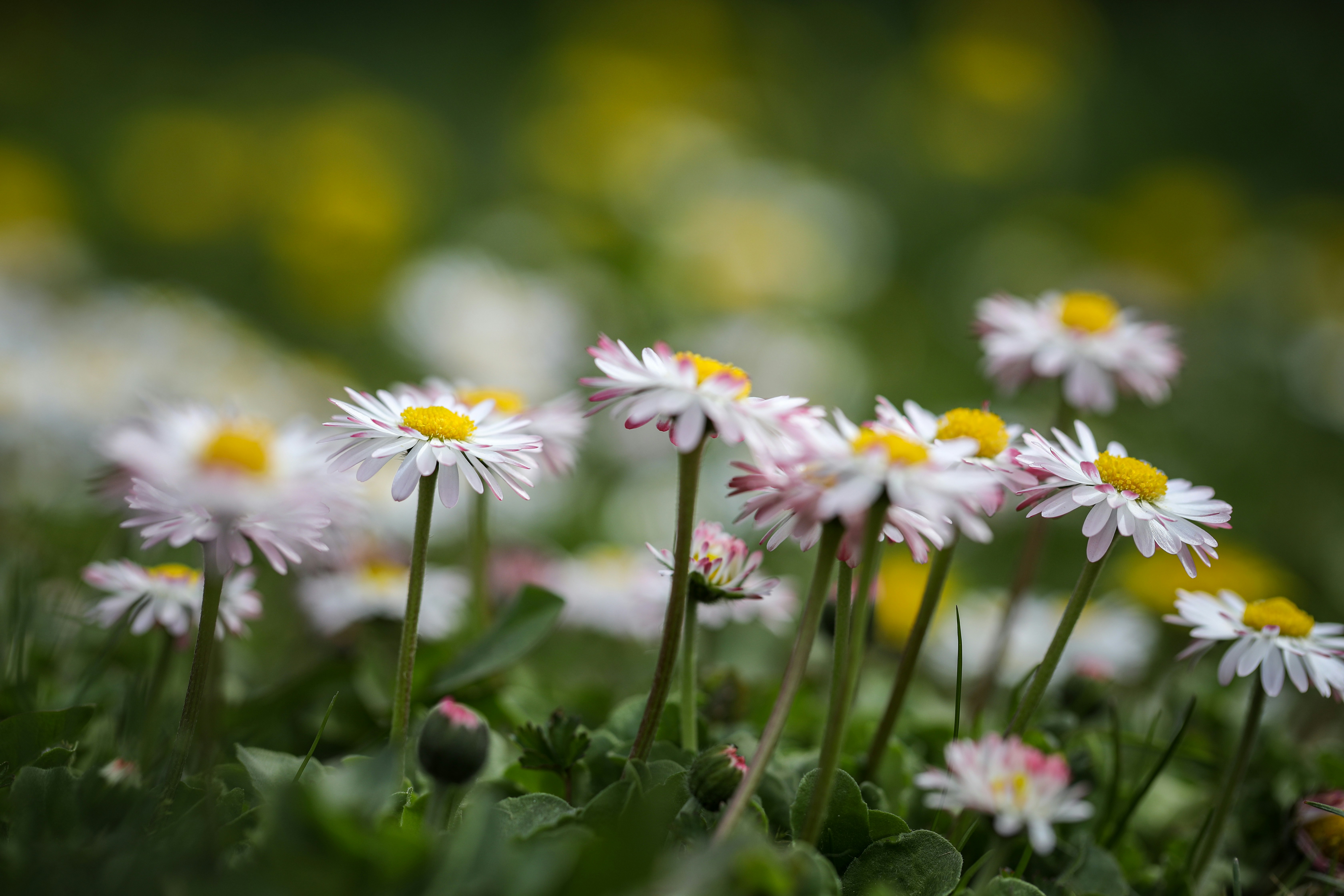 Photo by ovidiugruescu