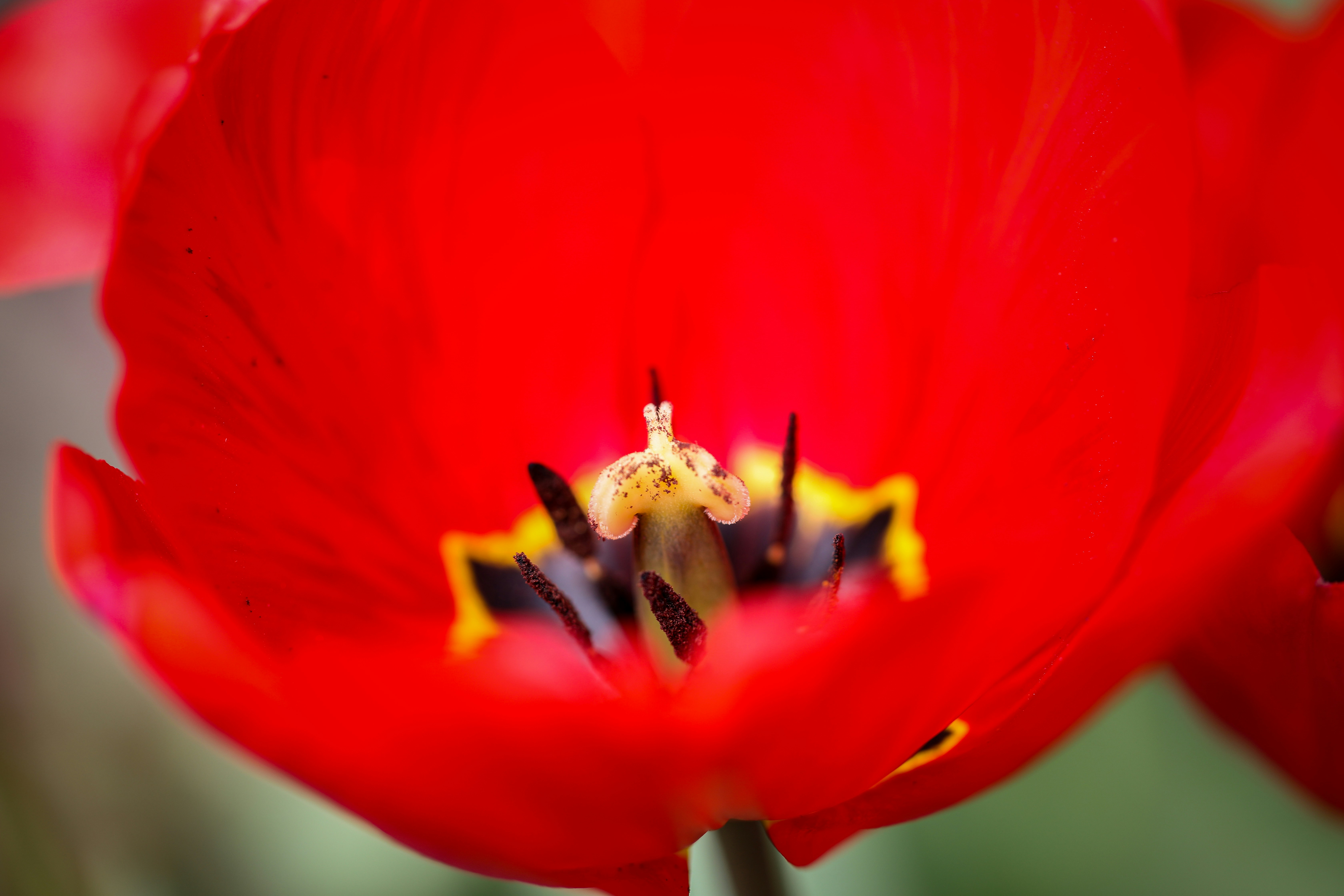 Photo by ovidiugruescu