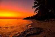 A serene beach at sunset in the Caribbean with gentle waves and palm trees.
