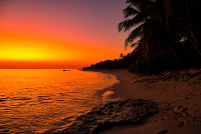 A serene beach at sunset with palm trees silhouetted against the orange sky.