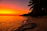 A serene beach in Sri Lanka at sunset with gentle waves and palm trees.