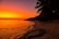 A serene beach scene at sunset with gentle waves and palm trees swaying in the breeze.