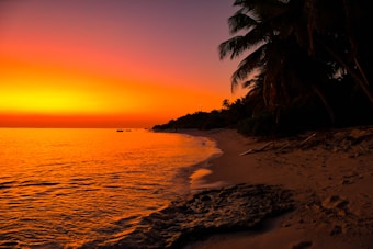 A serene beach scene at sunset with vibrant orange and yellow hues illuminating the sky. Gentle waves lap against the shoreline, and the silhouettes of palm trees create a peaceful atmosphere.