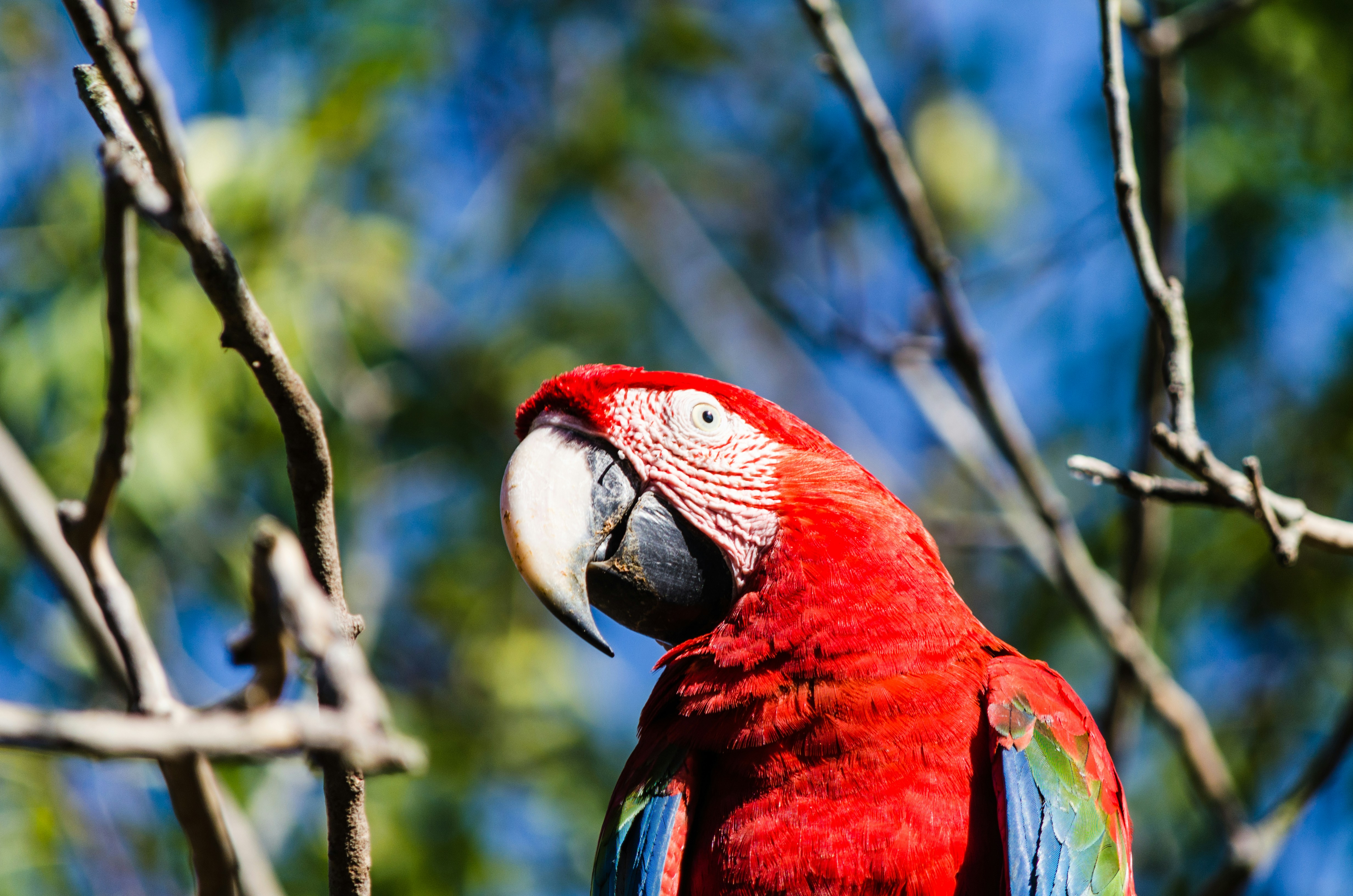 Photo by dmadventure