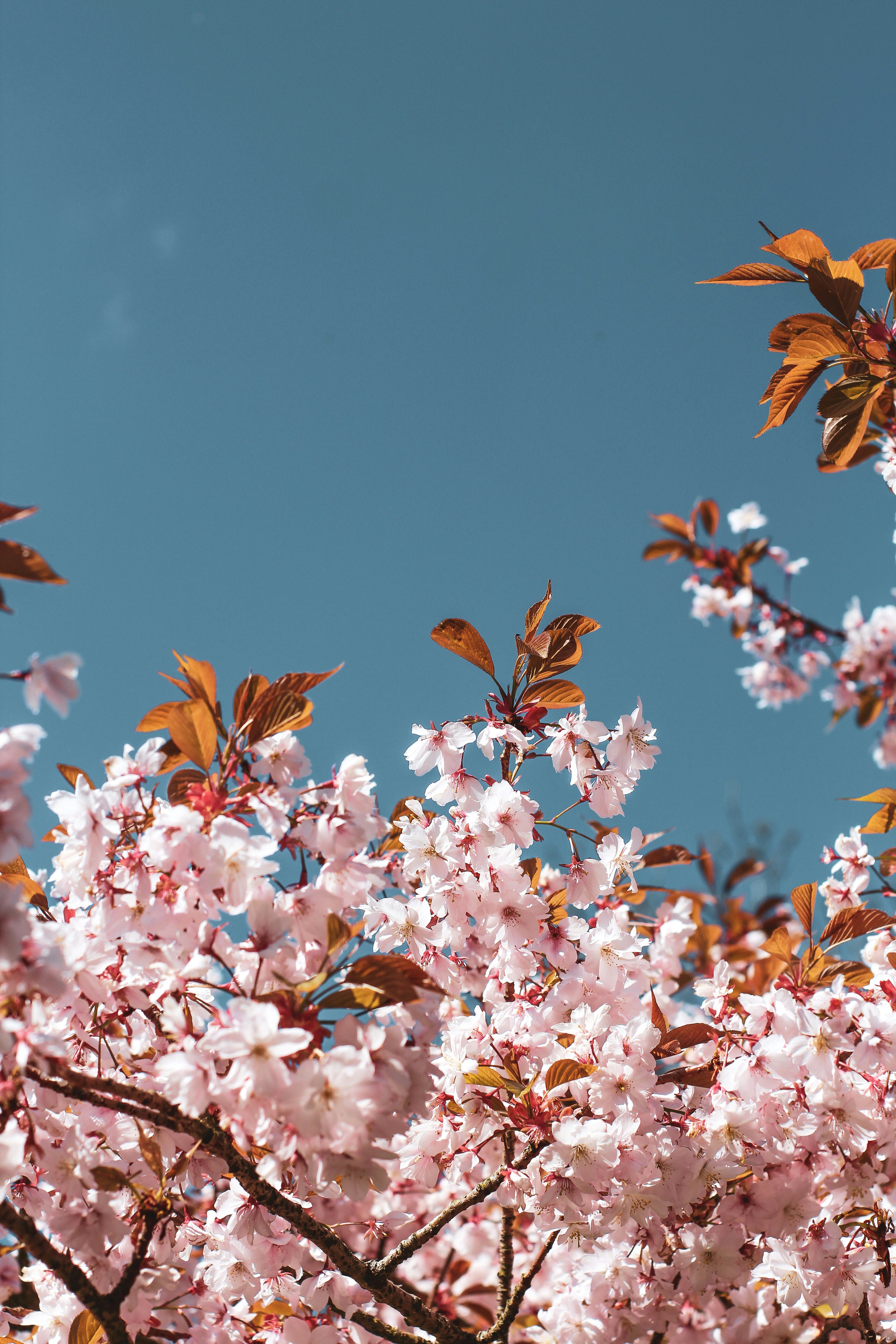 Photo by secondsight