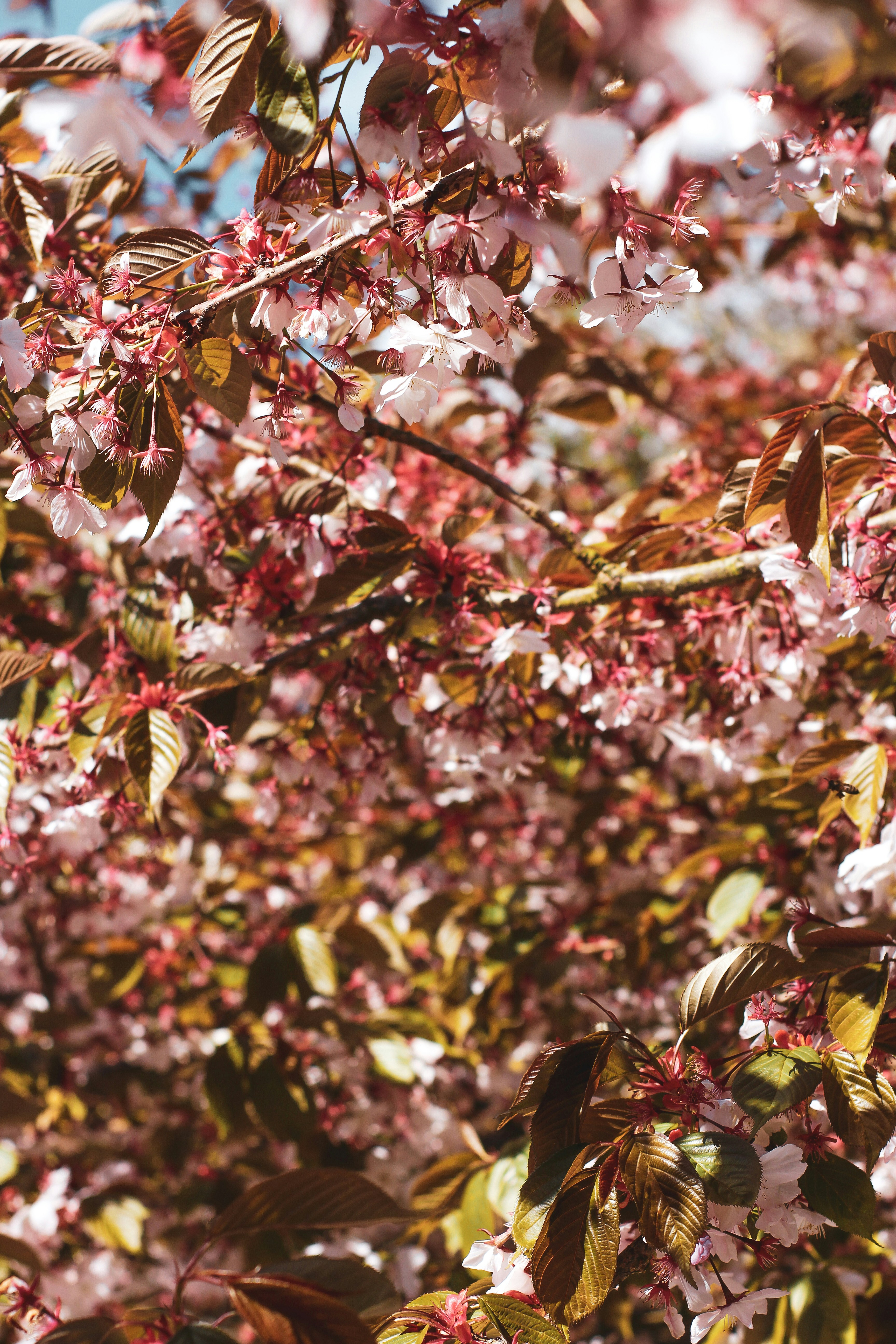 Photo by secondsight