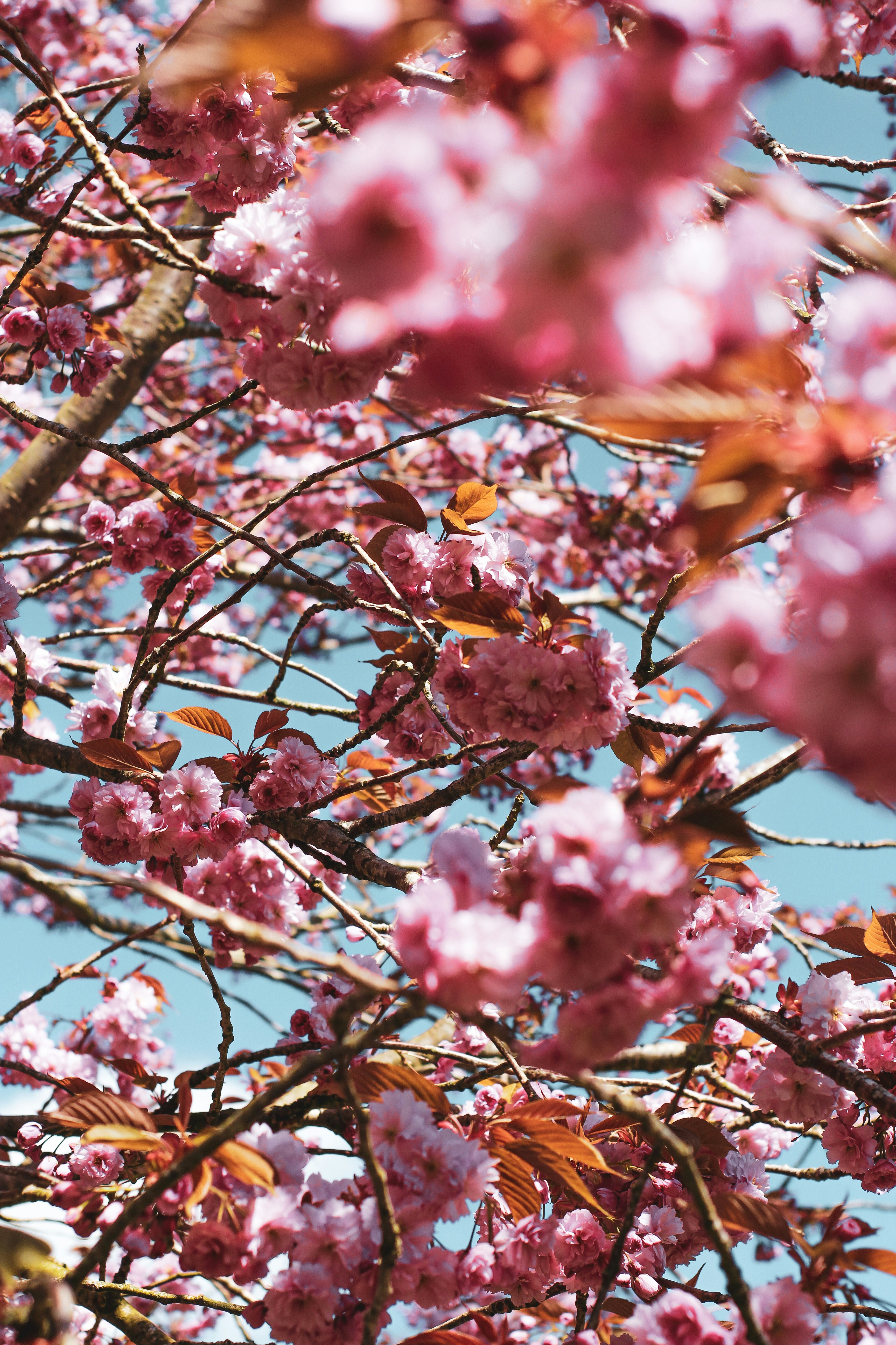 Photo by secondsight