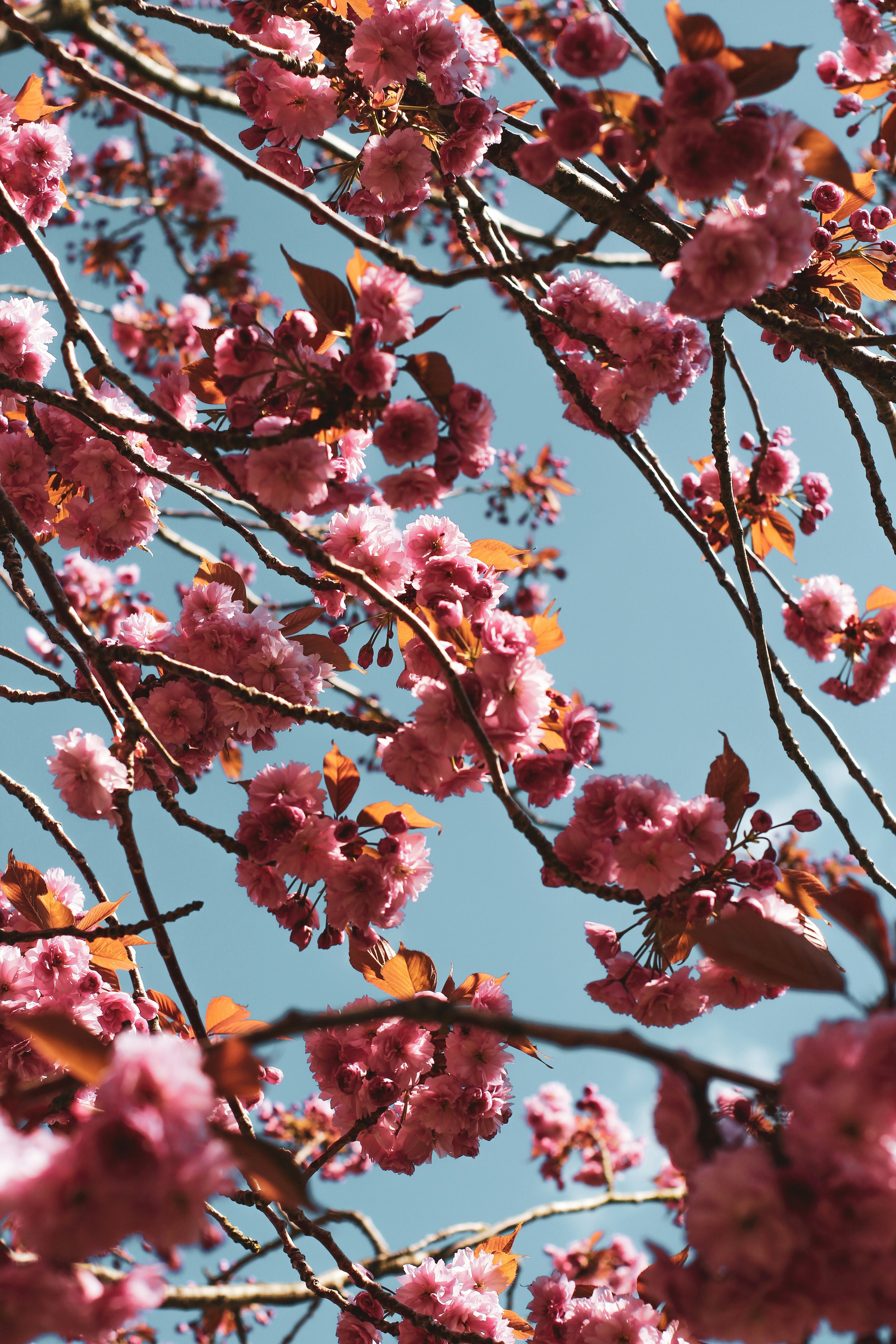 Photo by secondsight