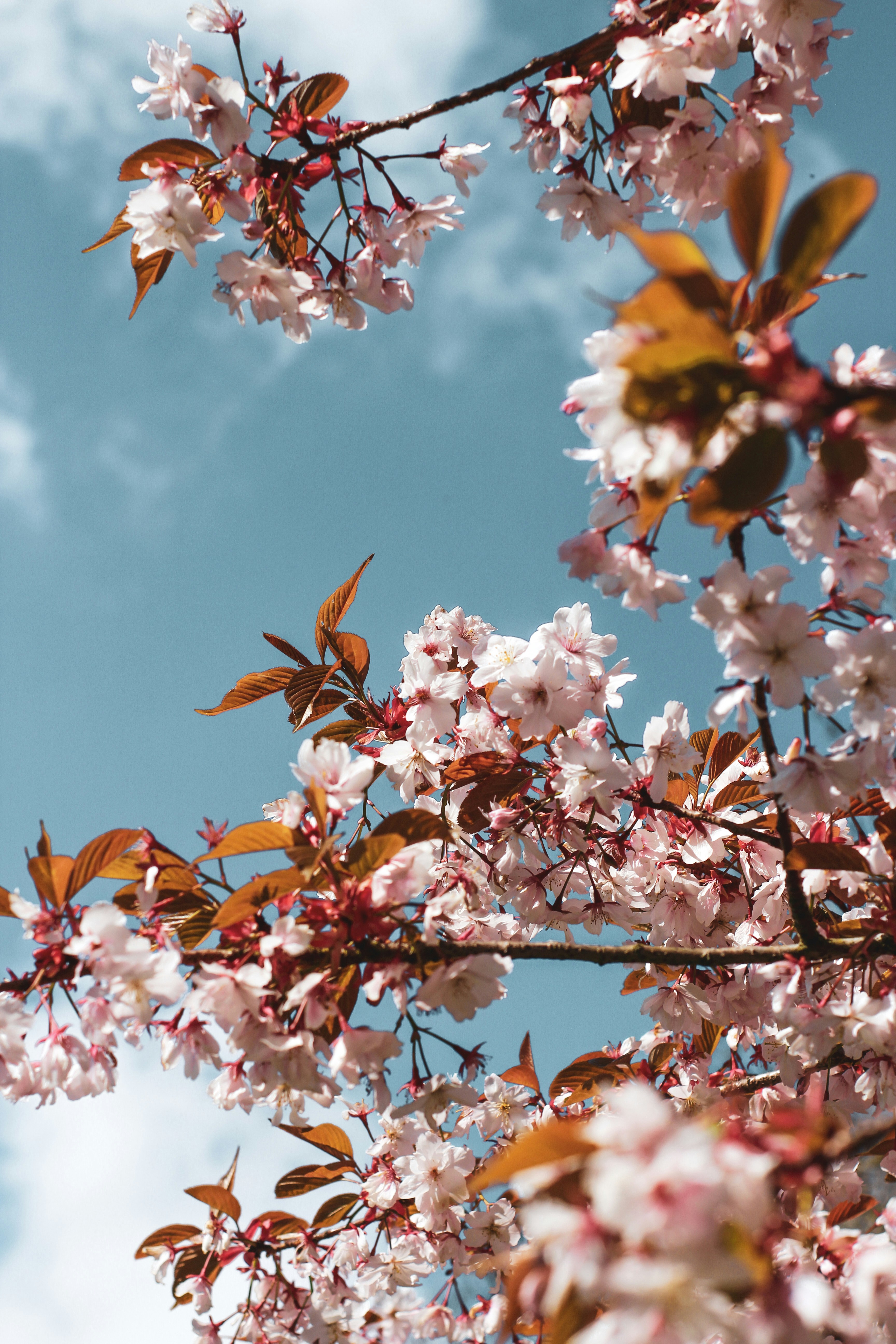 Photo by secondsight