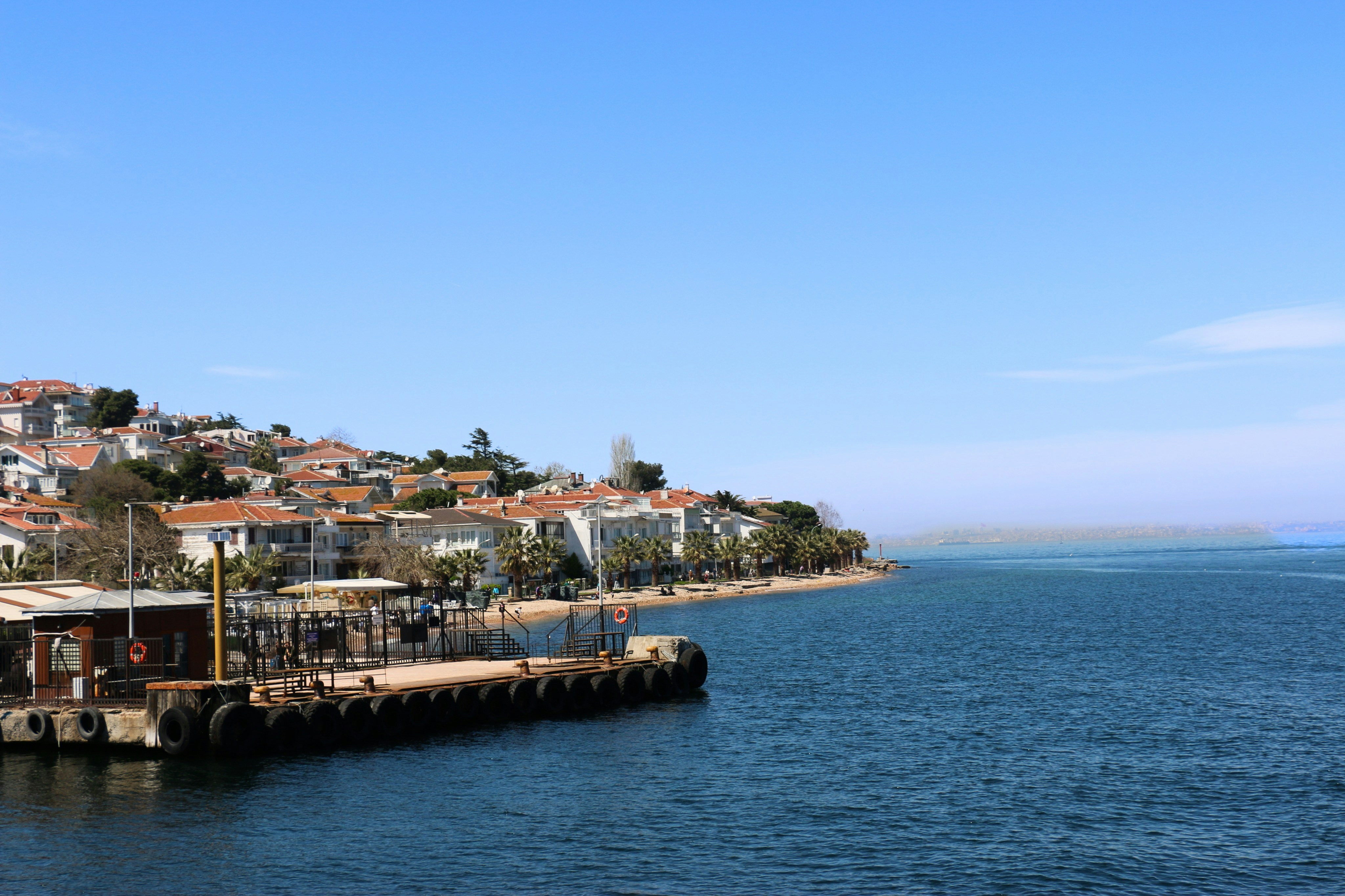 bay area houses