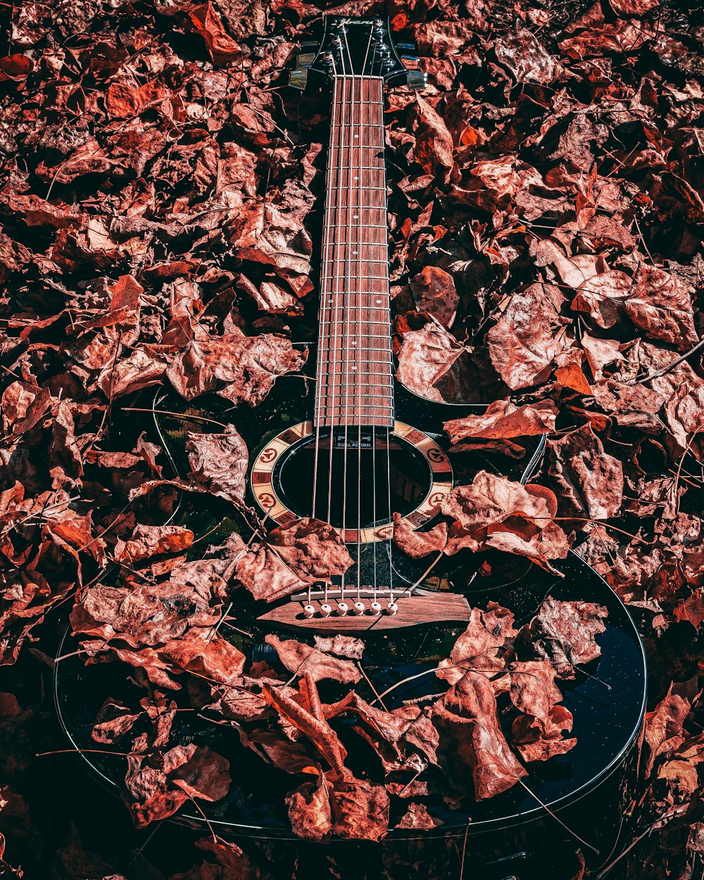 a black guitar laying on top of a pile of leaves