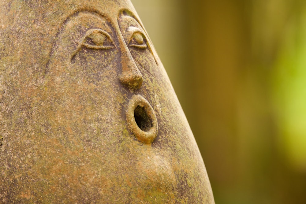 um close up de uma estátua do rosto de uma pessoa