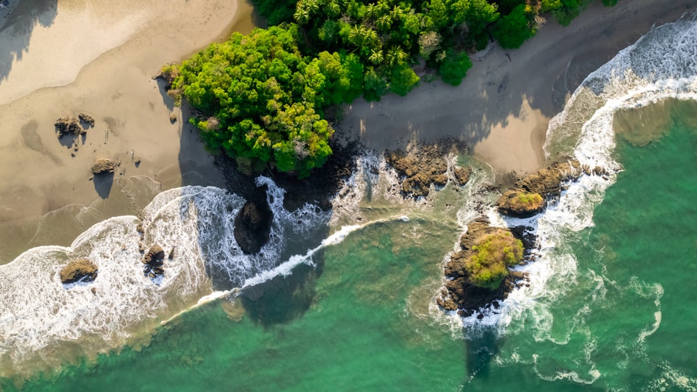 an aerial view of a beach with waves and trees