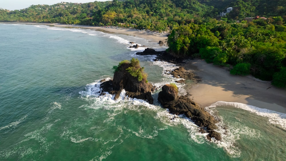 an aerial view of a beach and a forested area