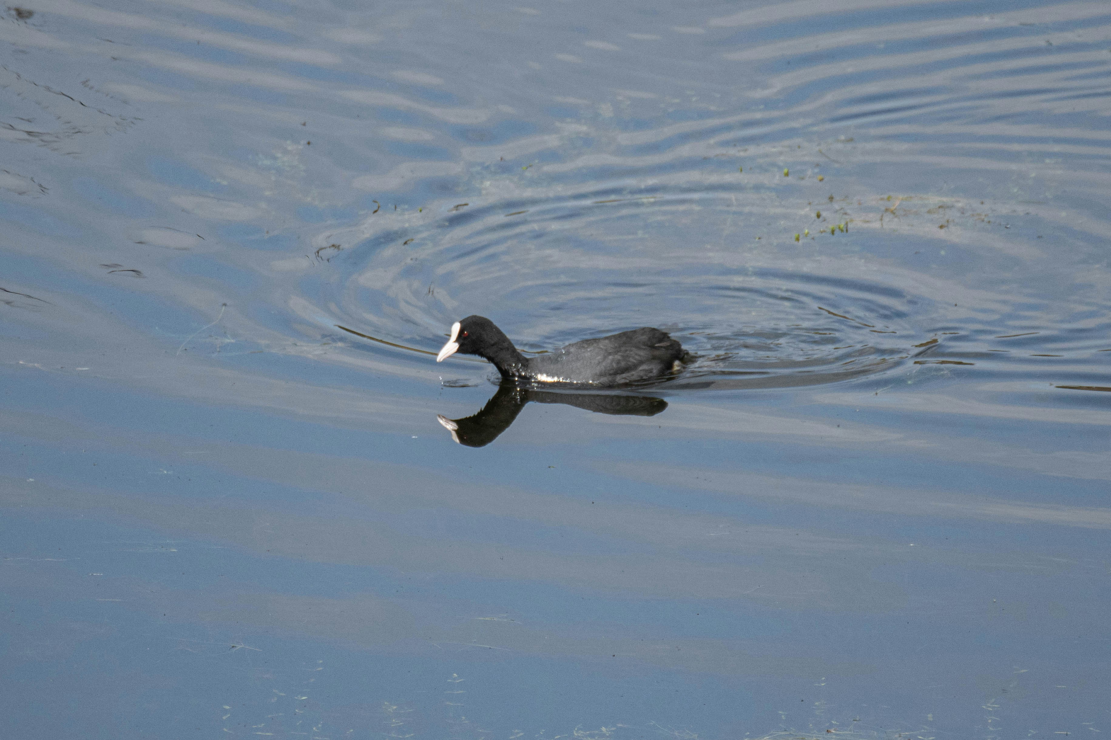 Photo by s_art_media