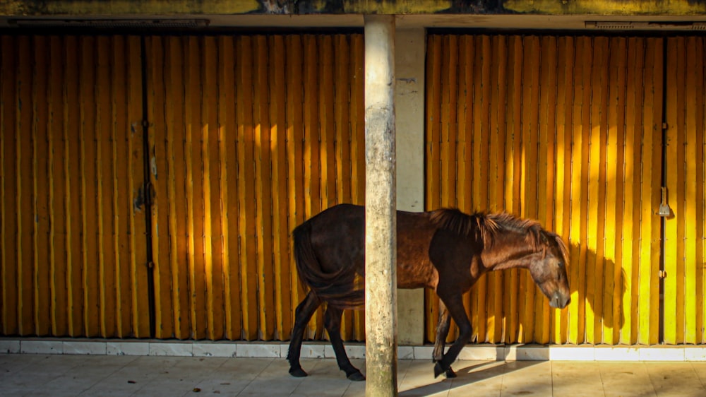 a brown horse standing next to a yellow wall