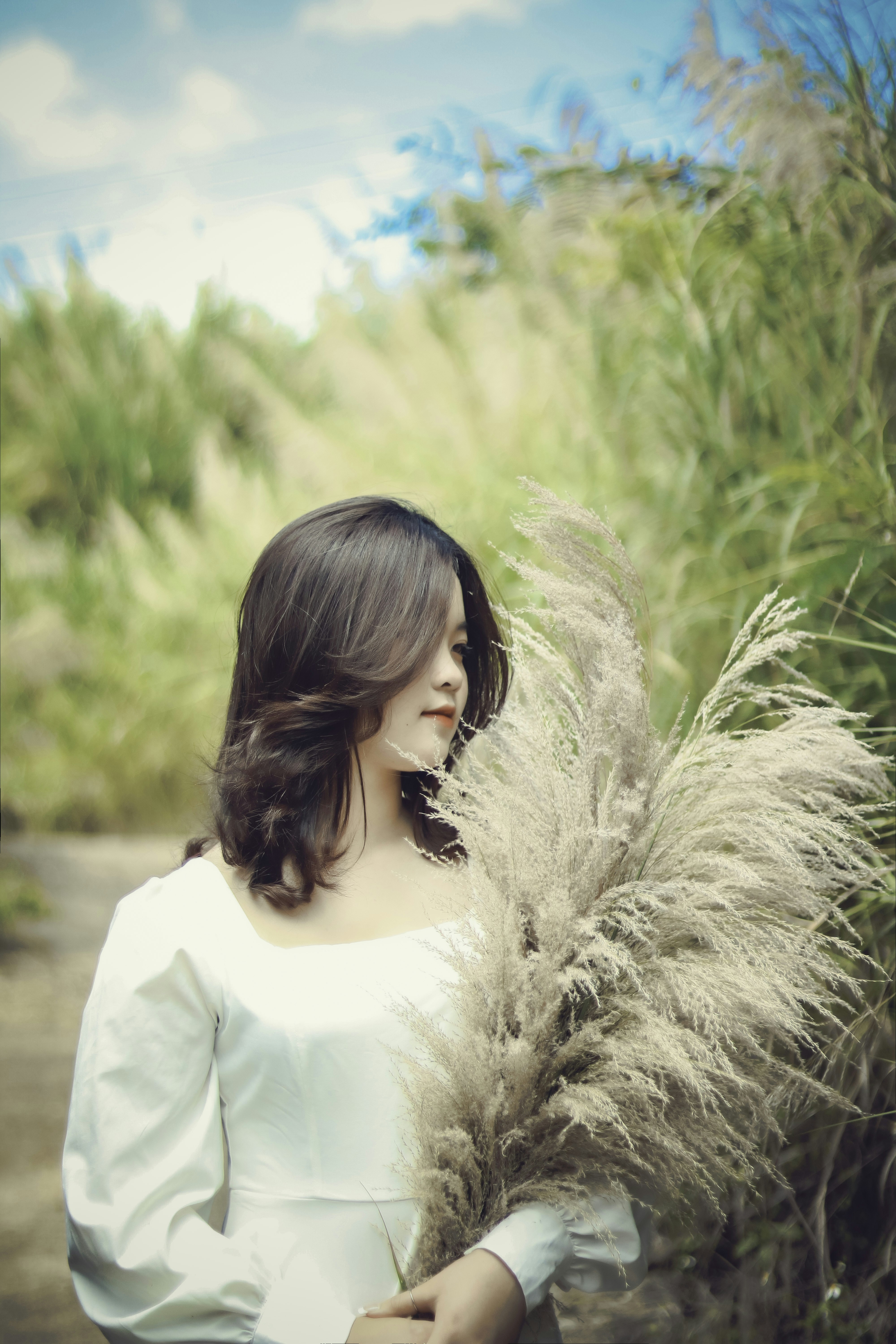 Photo by quangdieu195