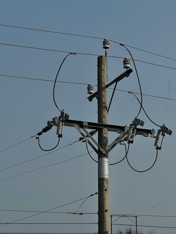 A utility pole is prominently featured, supporting numerous electrical wires and insulators. The pole is constructed from wood, with several crossarms designed to hold the wires in place. The sky in the background is clear and blue.