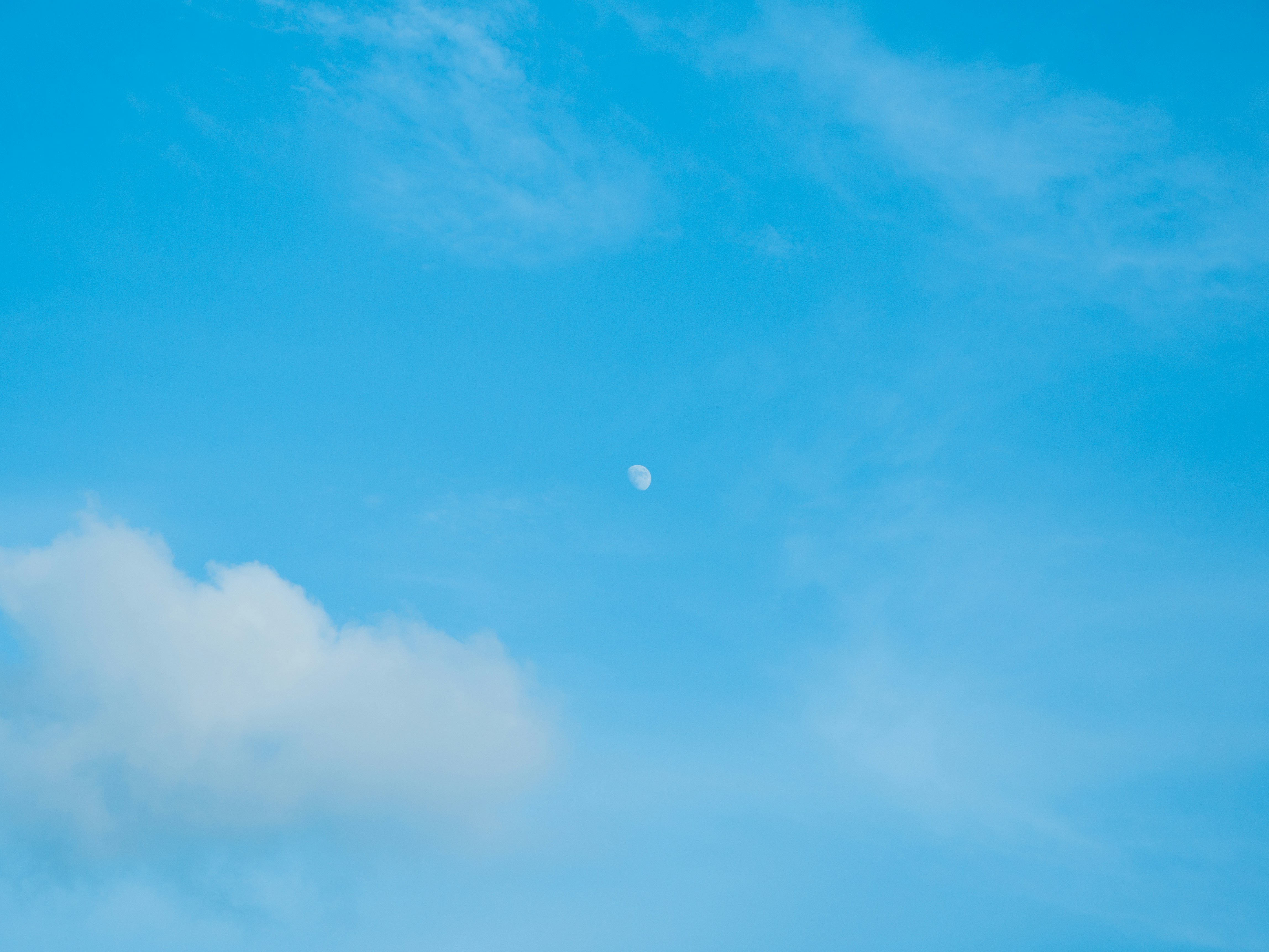 Photo by iceflamecat