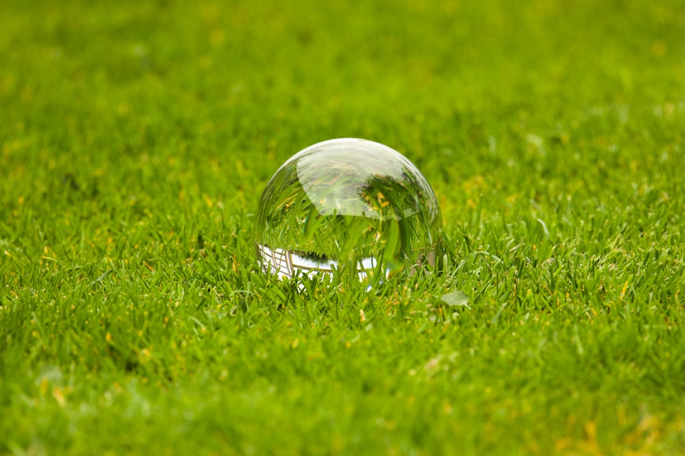 a glass ball sitting in the middle of a green field