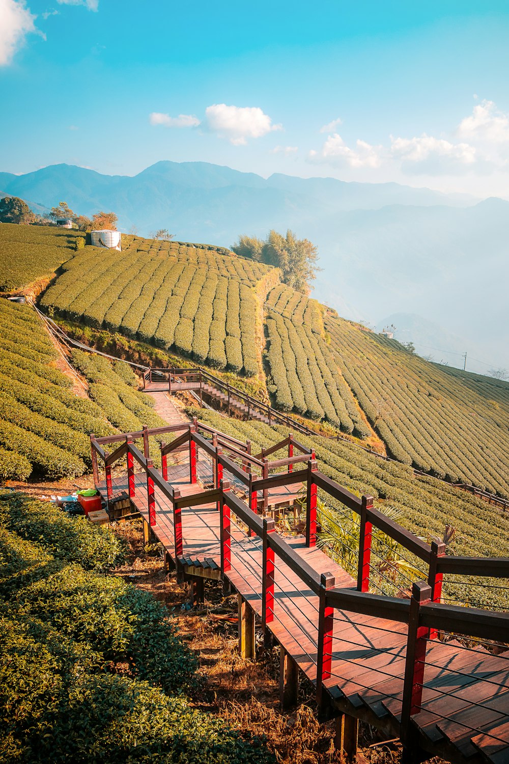 a wooden walkway leading to a lush green hillside