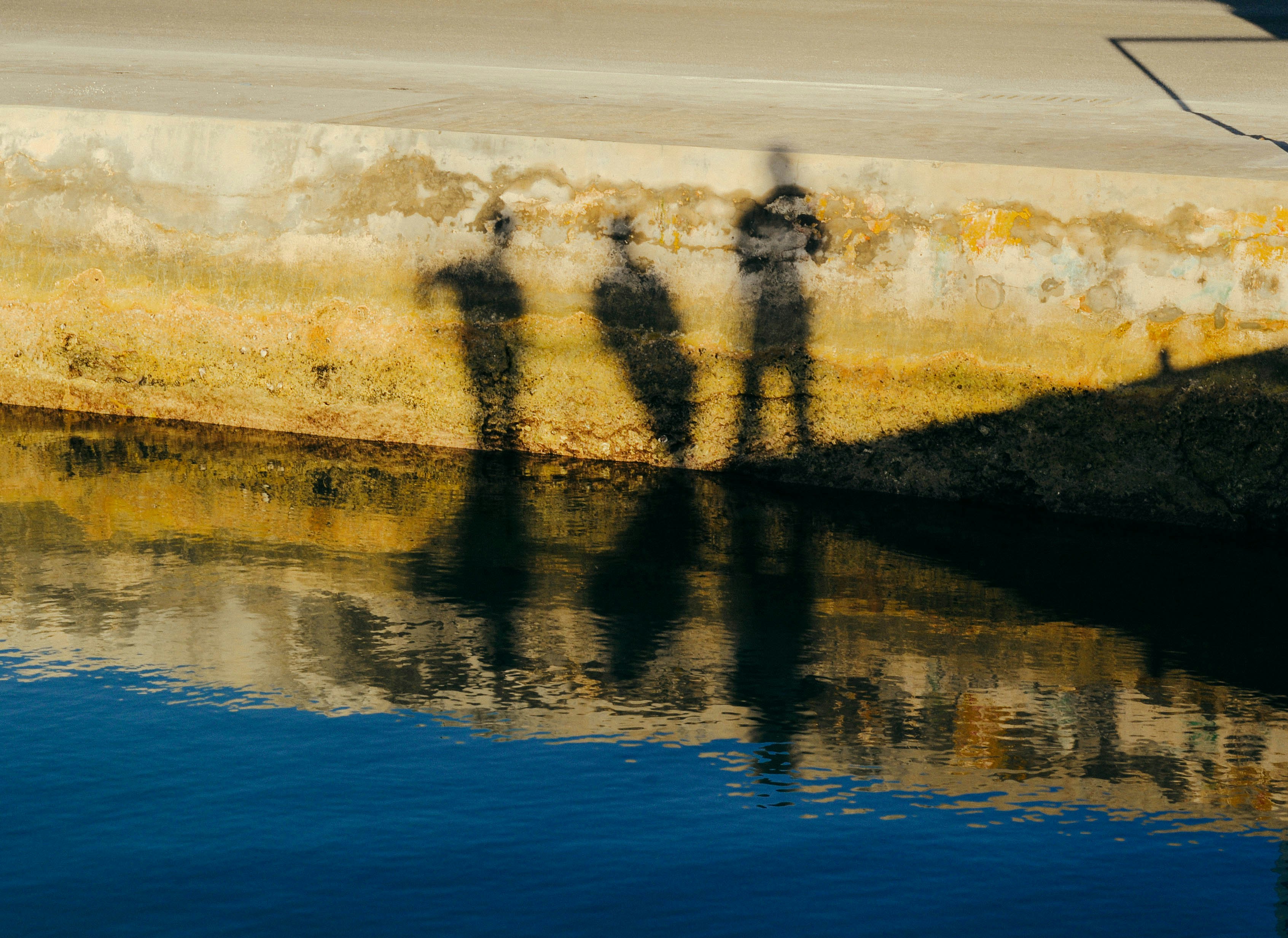 Photo by mishalibrahim