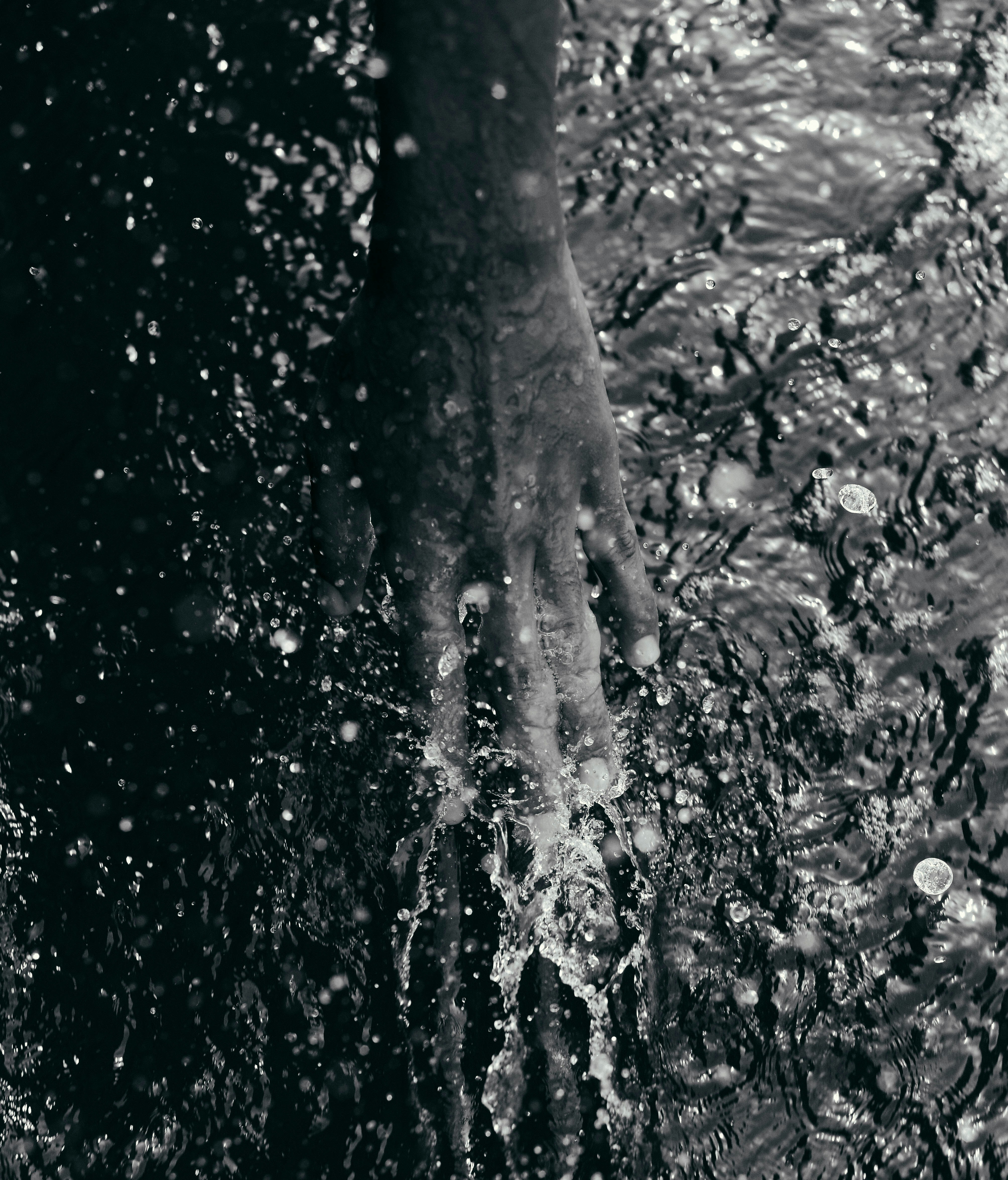 Photo by mishalibrahim