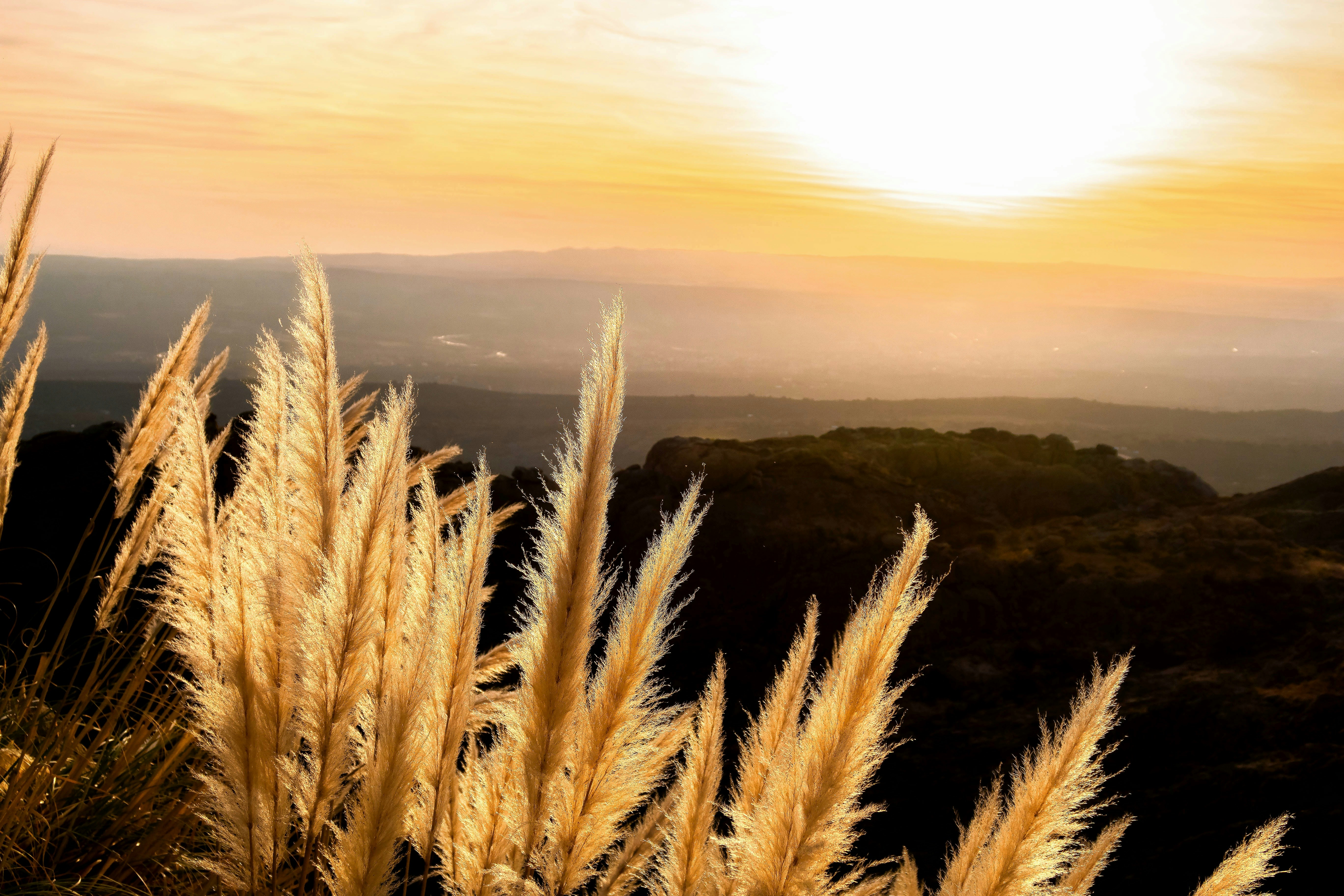 Photo by argentinanatural