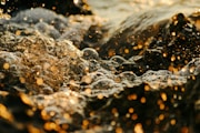 a close up of water bubbles on a rock