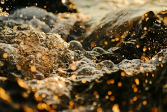 a close up of water bubbles on a rock