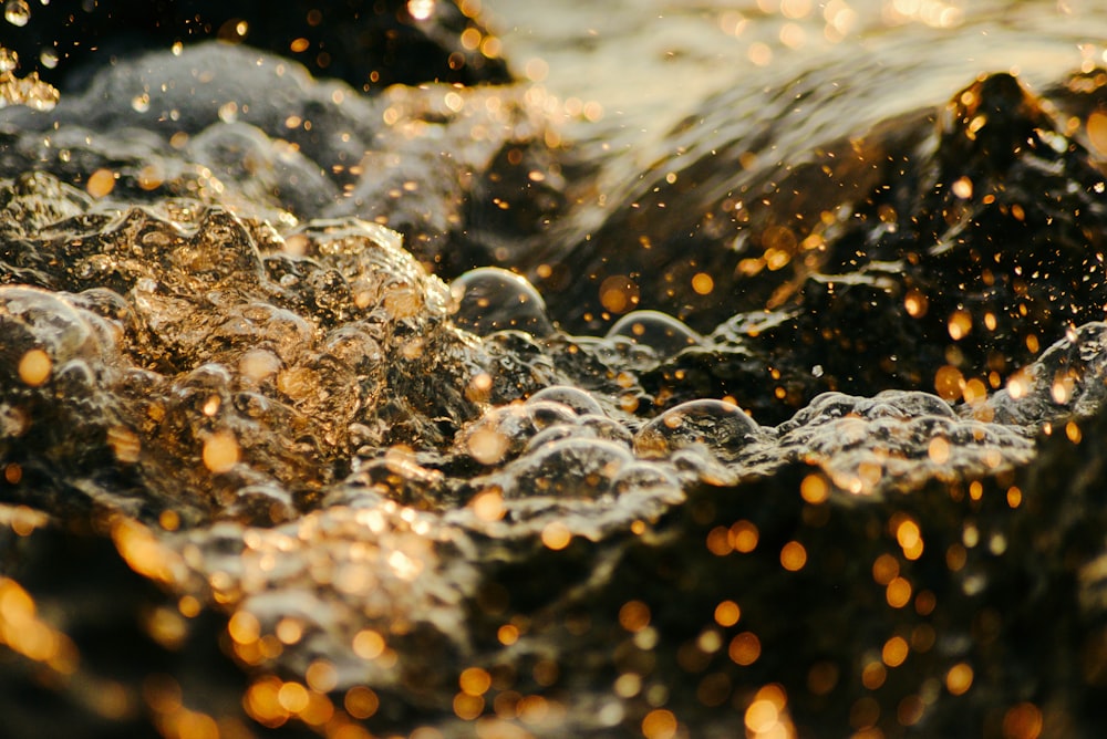 a close up of water bubbles on a rock