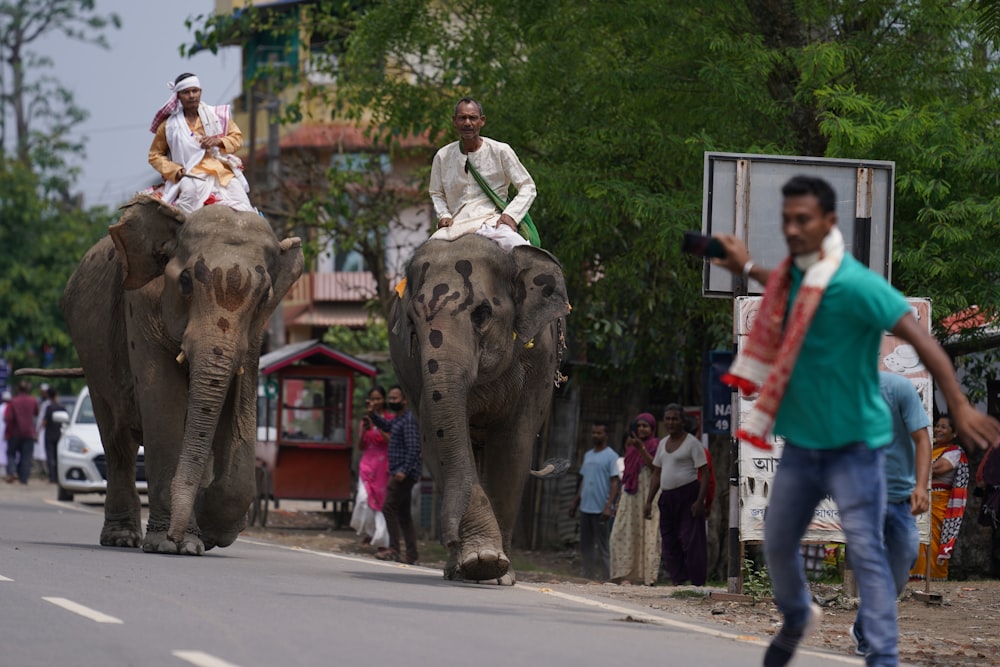 a group of people riding on the backs of elephants