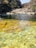 People swim and relax by a natural pool with clear water, surrounded by rocky cliffs and sparse vegetation. The water is clear, revealing rocks and pebbles below the surface. Visitors are gathered on the sunlit rocks, enjoying the serene atmosphere.