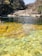 People swim and relax by a natural pool with clear water, surrounded by rocky cliffs and sparse vegetation. The water is clear, revealing rocks and pebbles below the surface. Visitors are gathered on the sunlit rocks, enjoying the serene atmosphere.