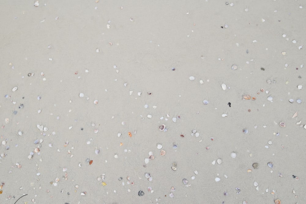 a white surfboard sitting on top of a sandy beach