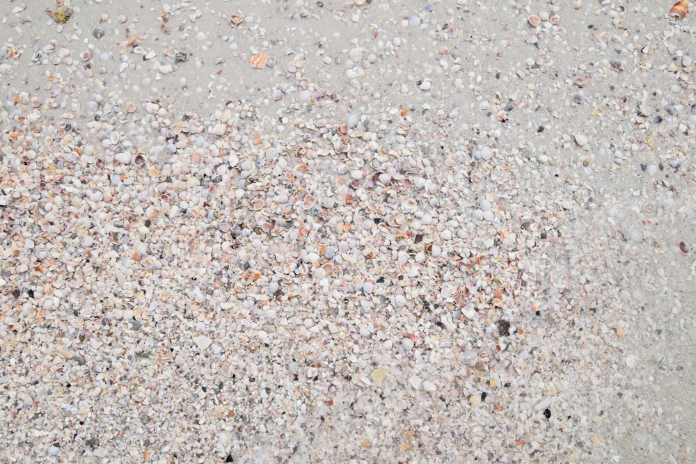 a close up of a cement surface with small rocks