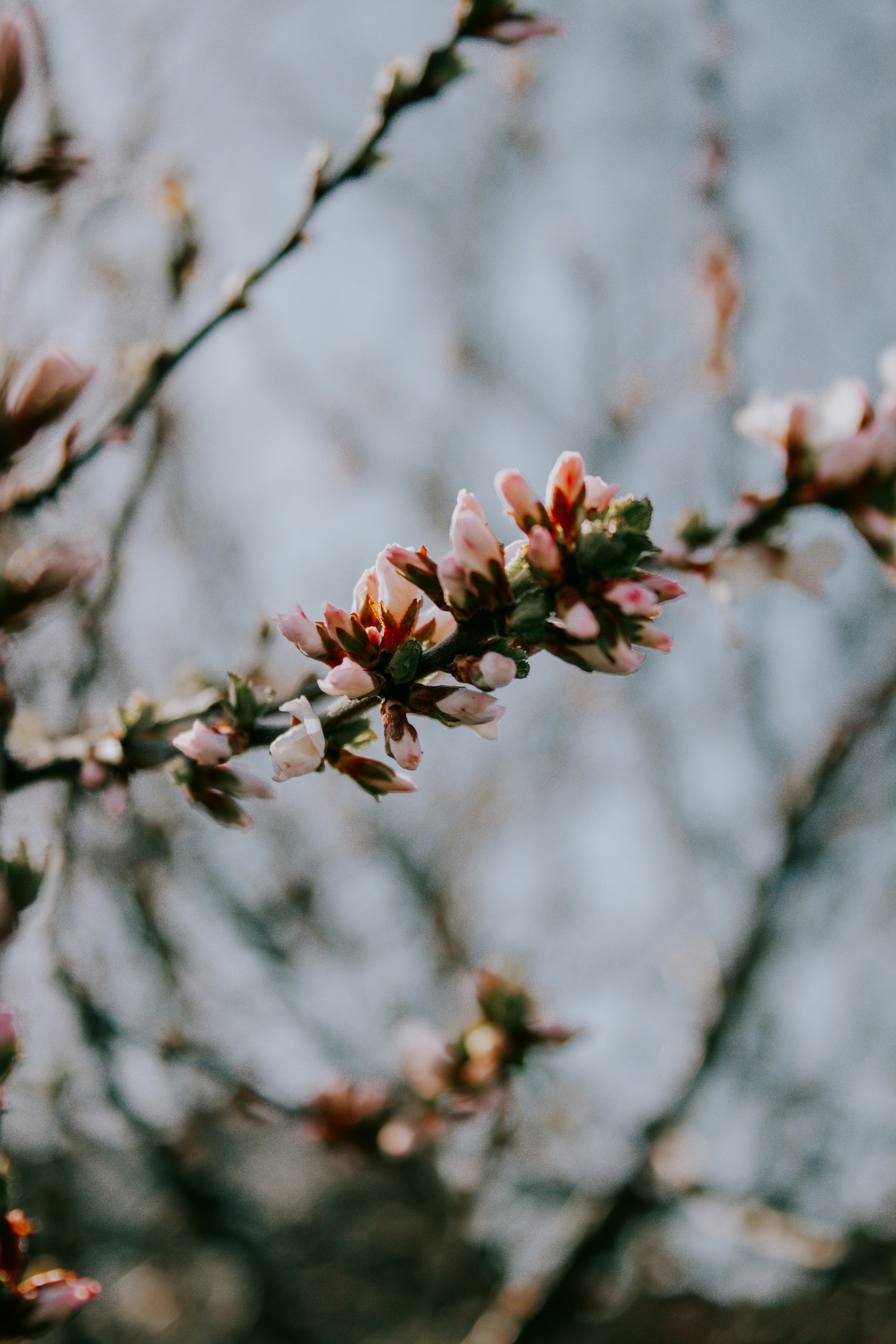 Photo by karinavitvitska