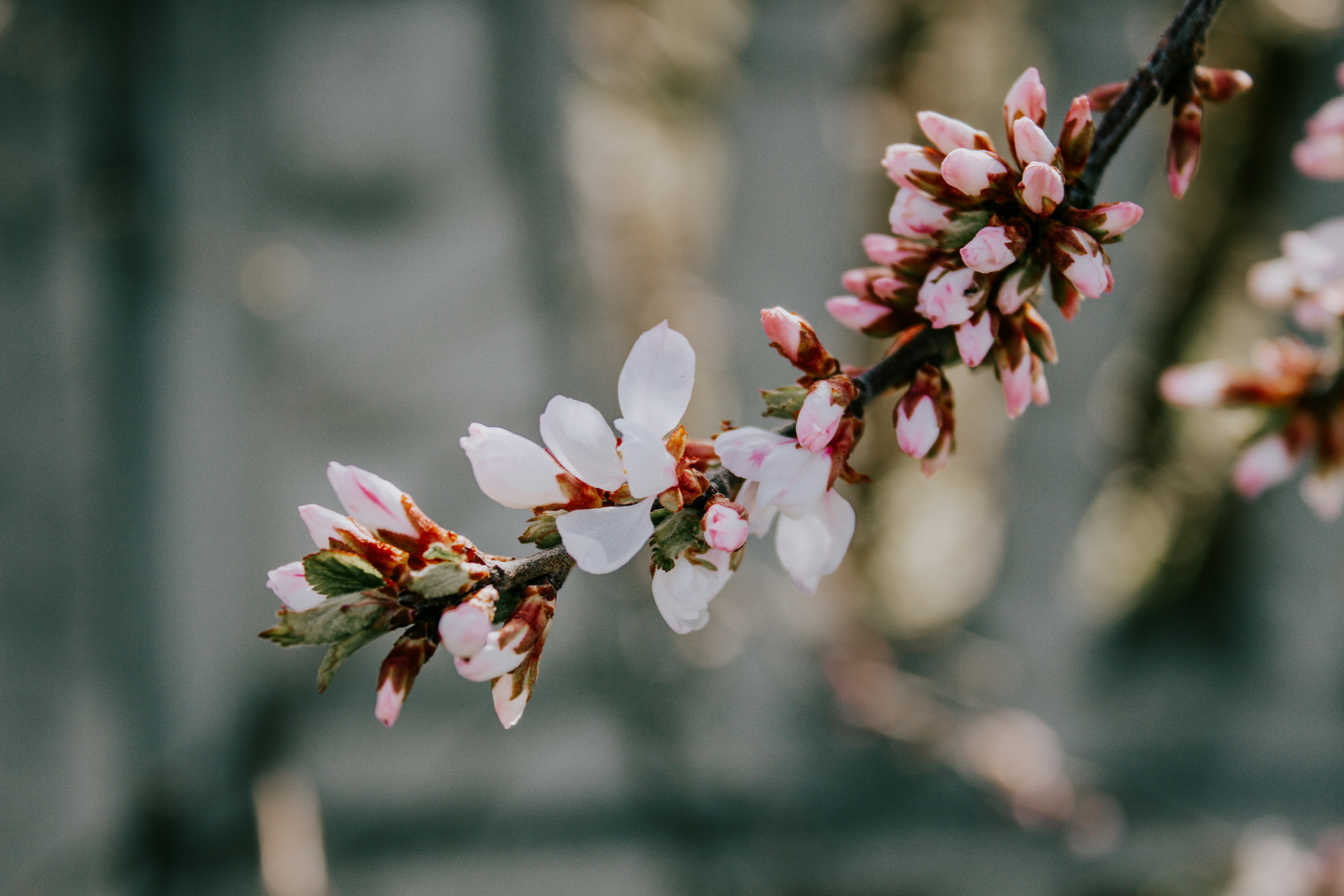 Photo by karinavitvitska