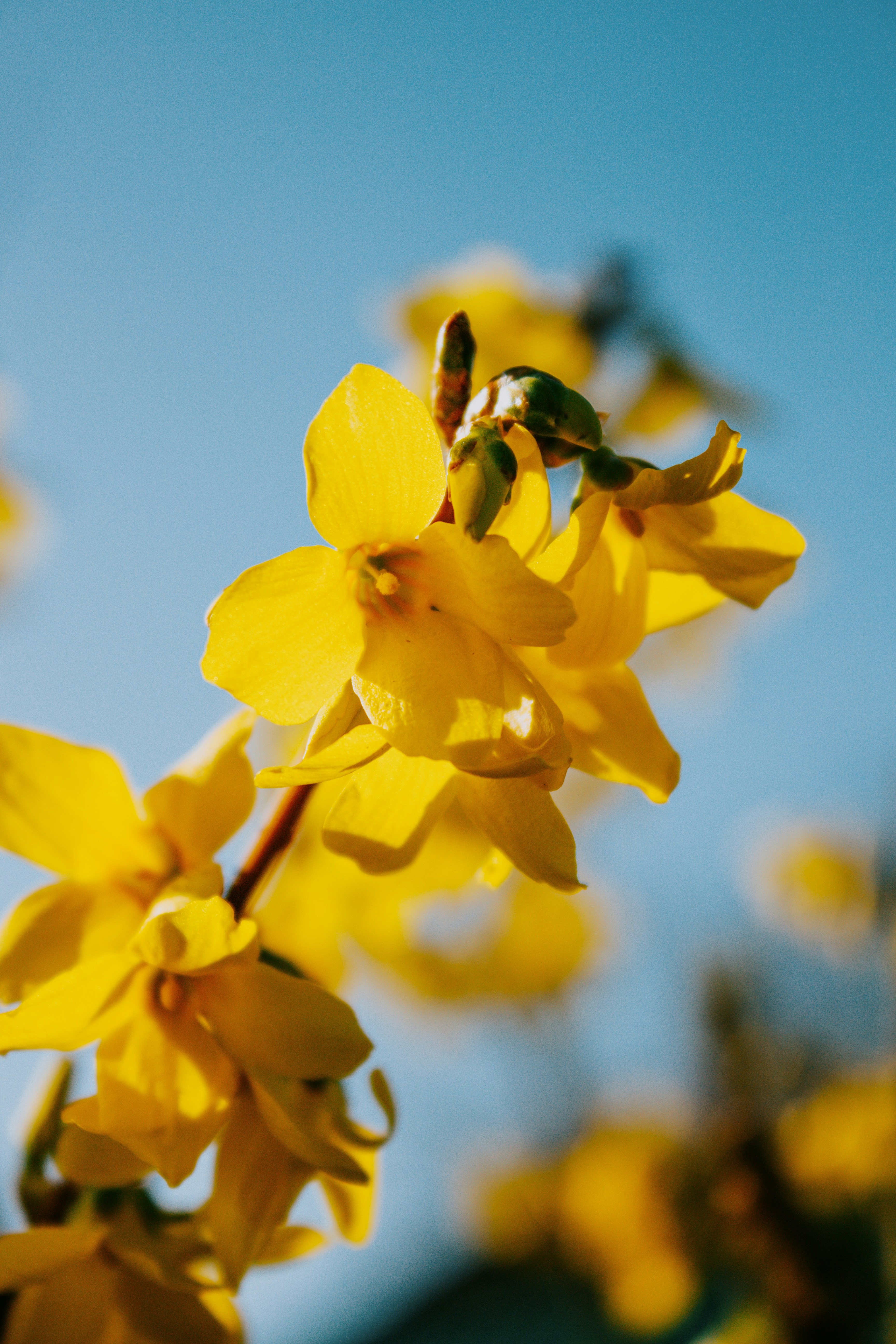 Photo by karinavitvitska