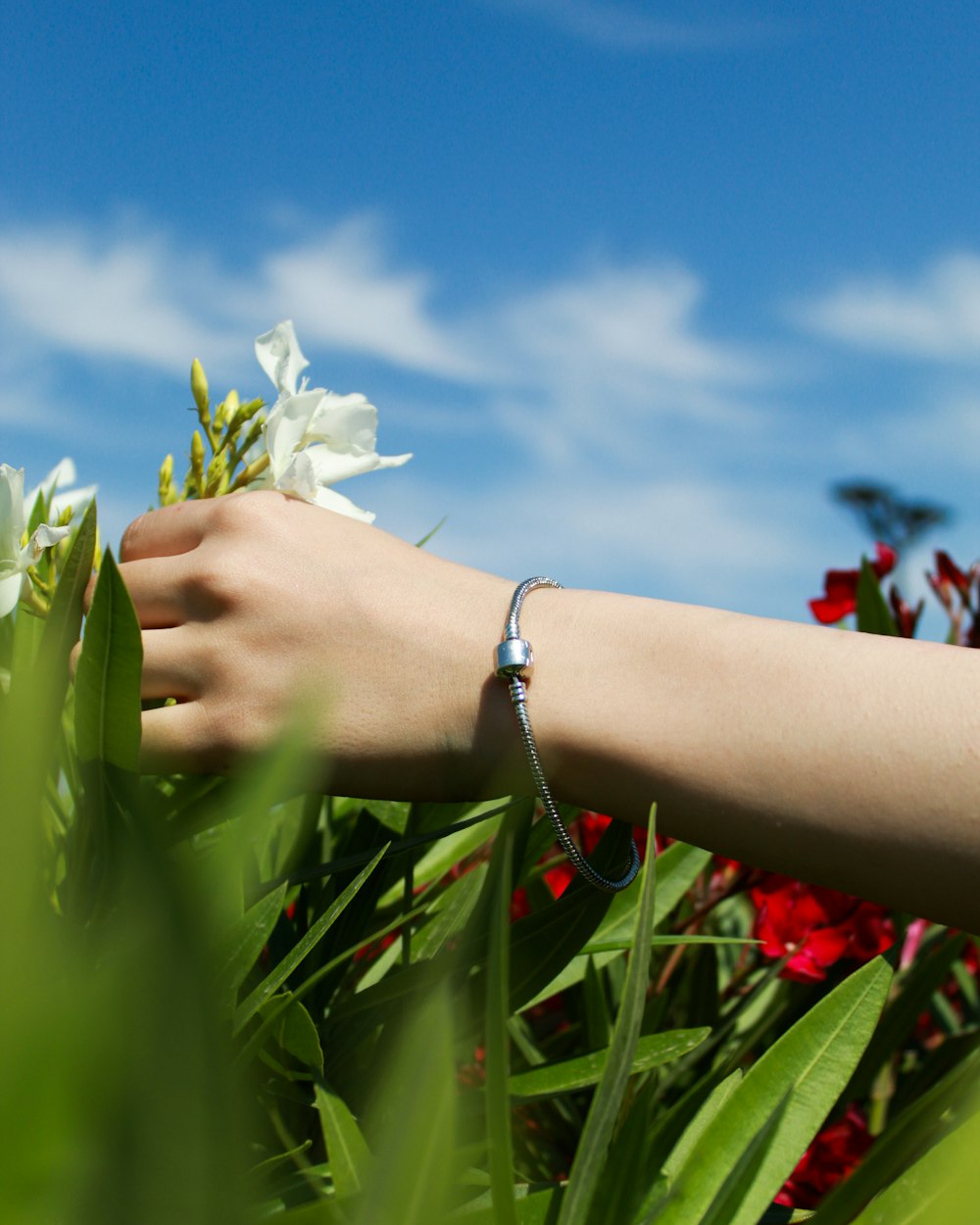 a woman's hand reaching for a flower