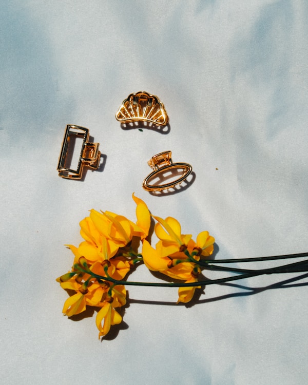 Professional Hair Claw Clips Set