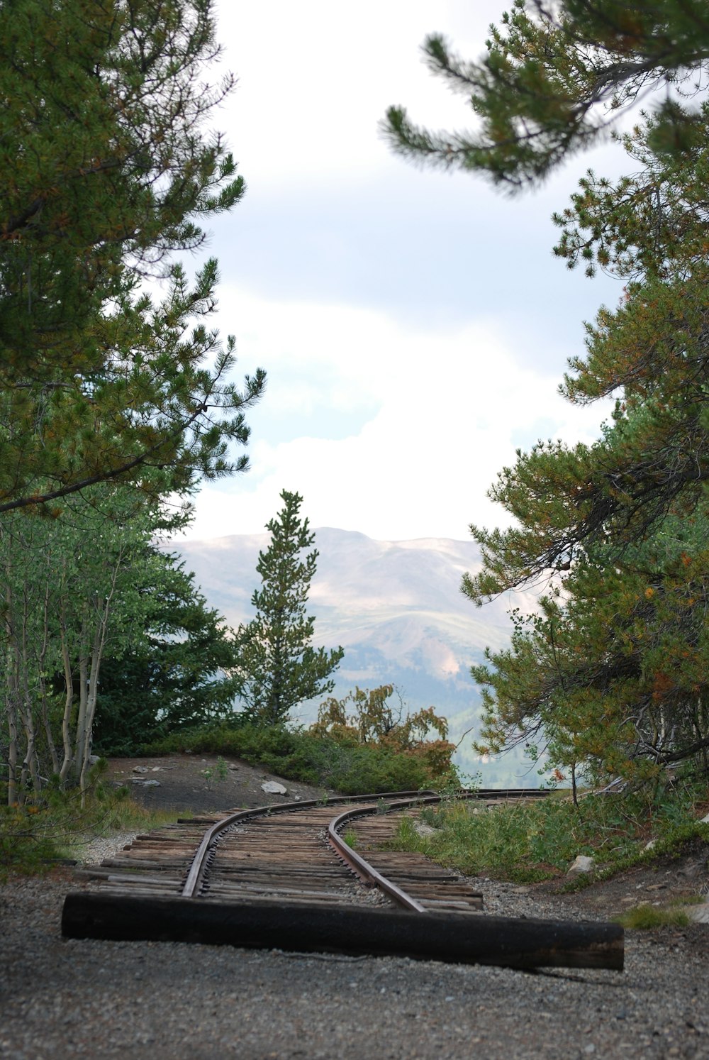 a view of a train track through some trees