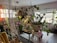 A bright living room featuring colorful decor and plants, creating a lively atmosphere.