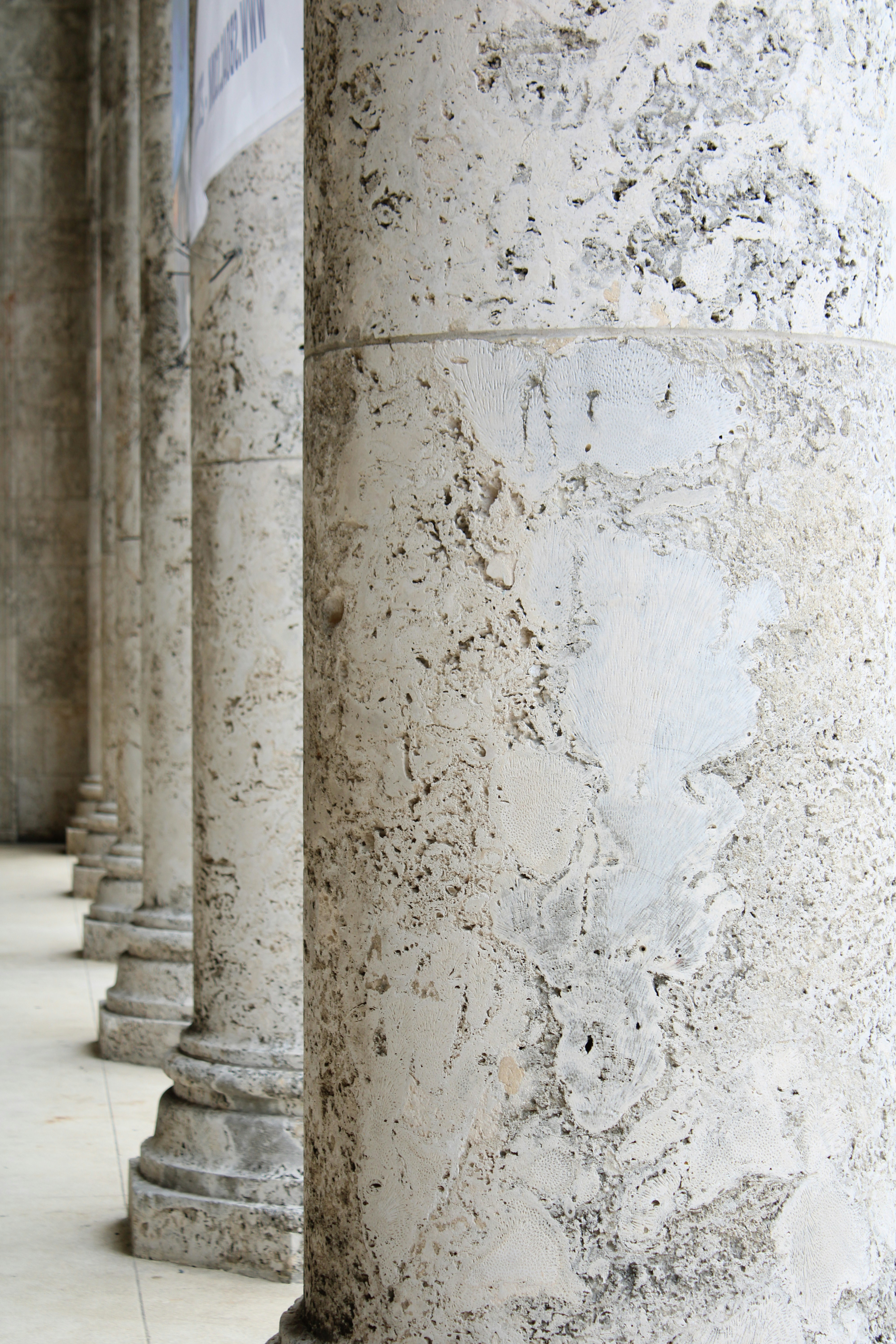 White marble Planter