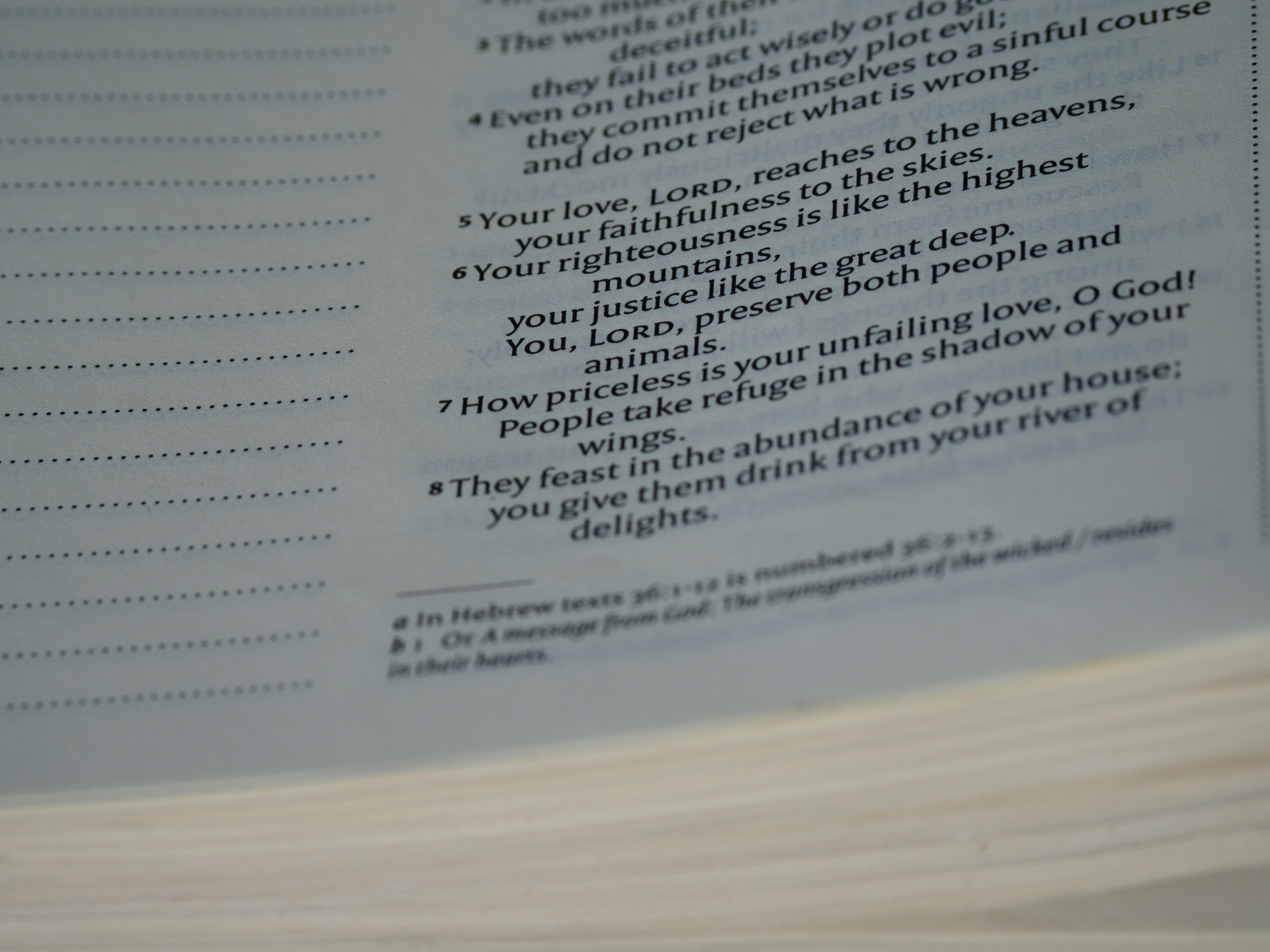 Photo by brett_jordan