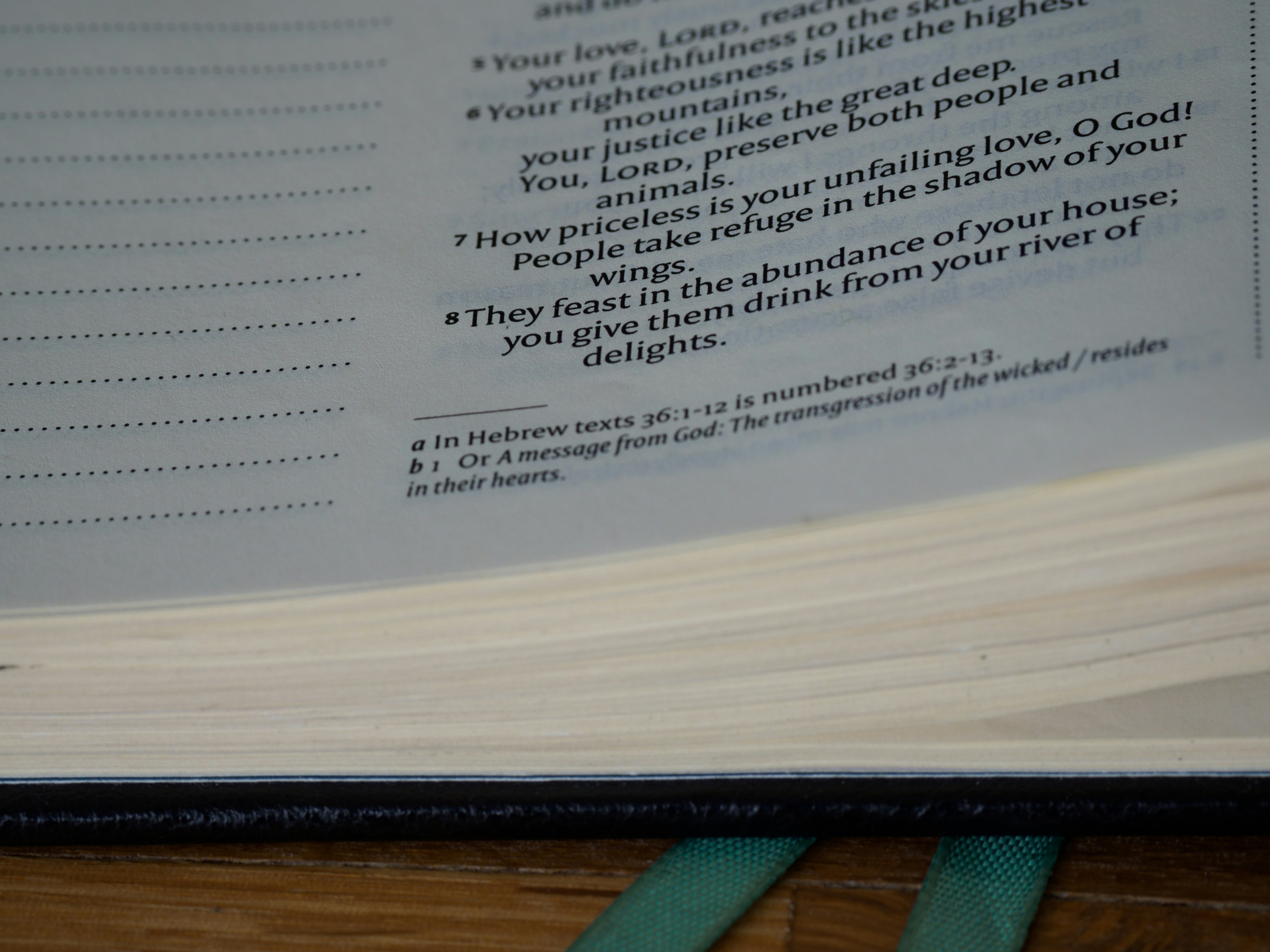 Photo by brett_jordan