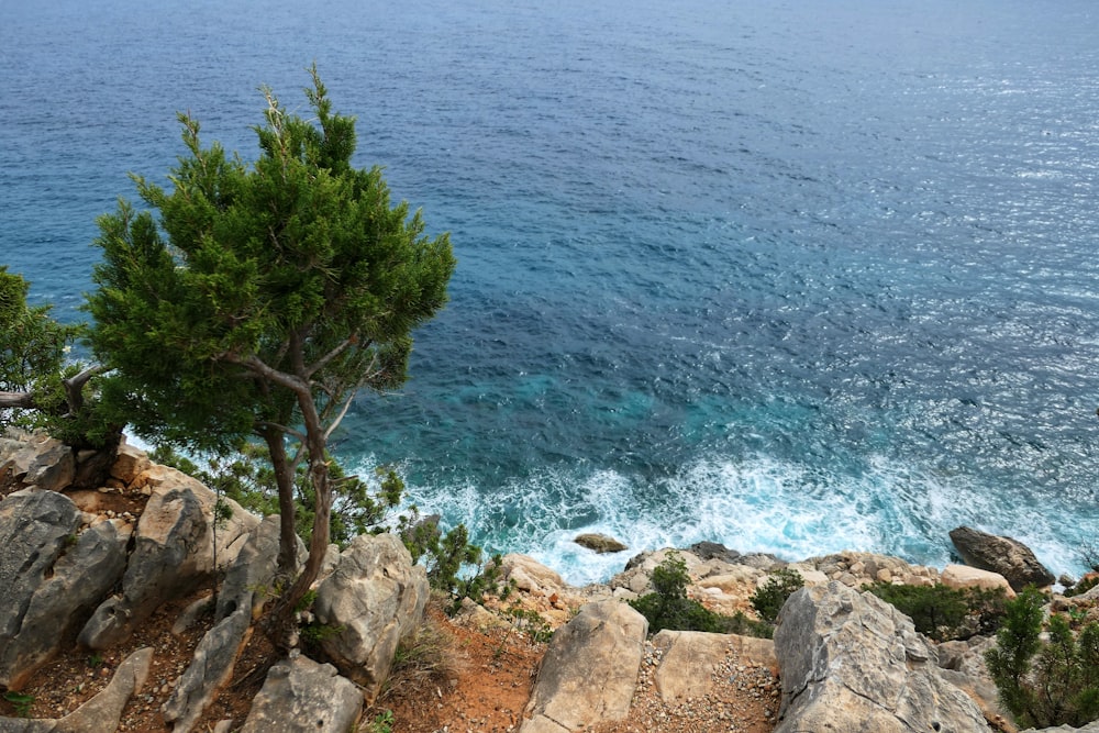 a view of the ocean from the top of a hill