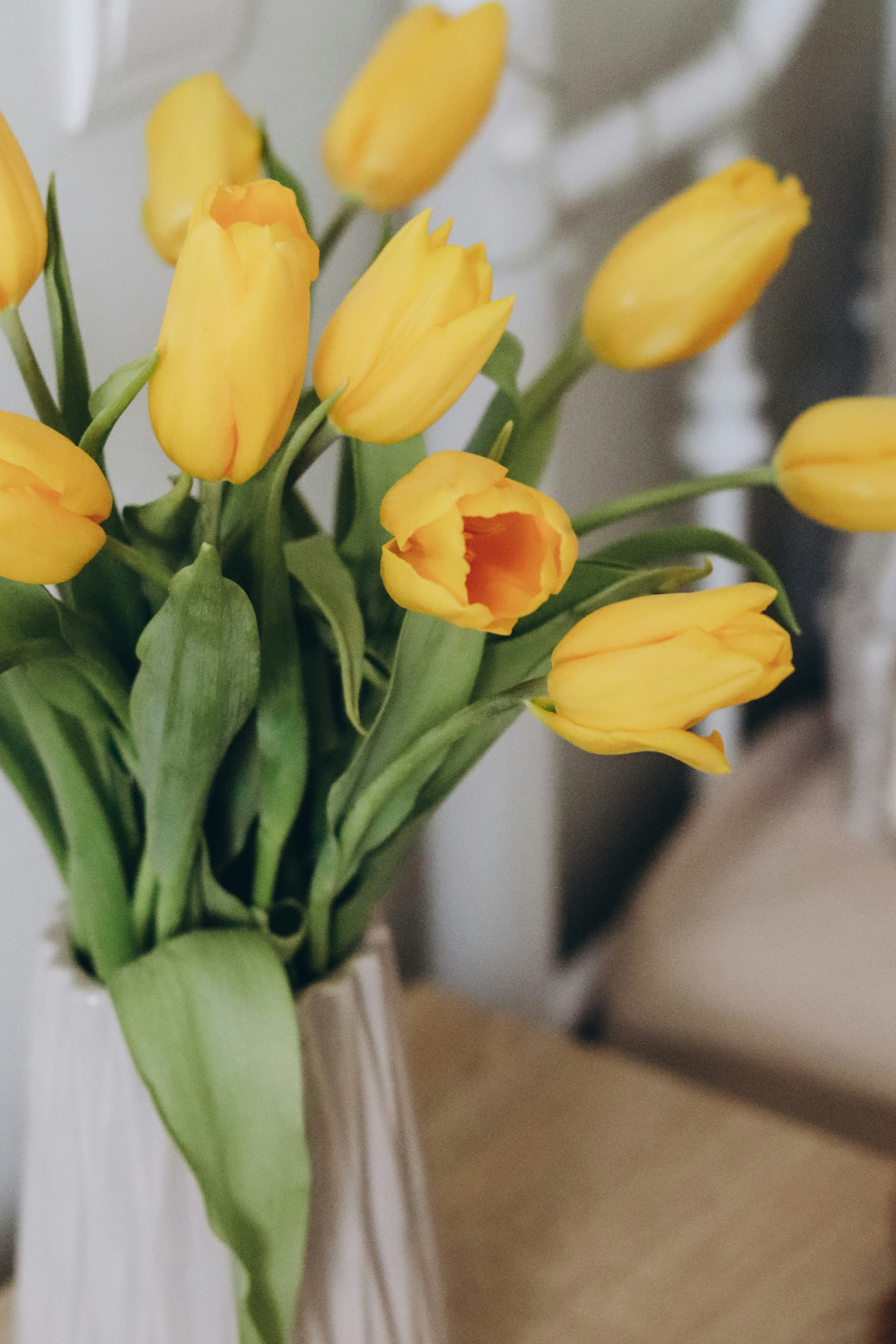 Photo by juli_ivanina