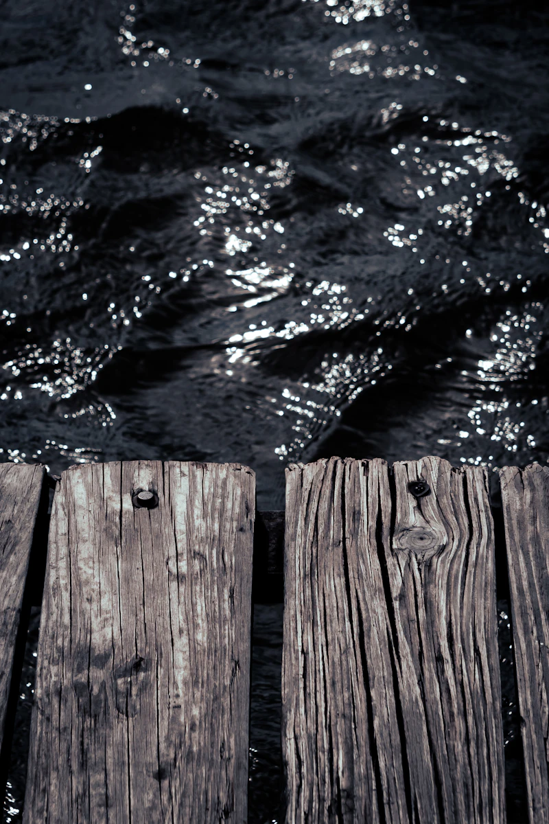 Close-up of wooden dock pilings over water